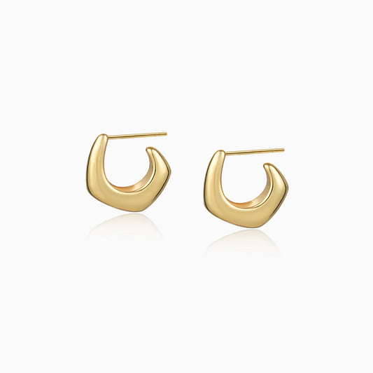 Curved Hoop Earrings