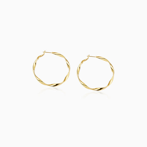 Irregular Hoop Earrings