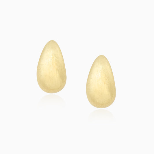 Drop Shaped Golden Plated  Hook Earrings