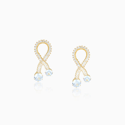 Shine Loop Drop Earrings