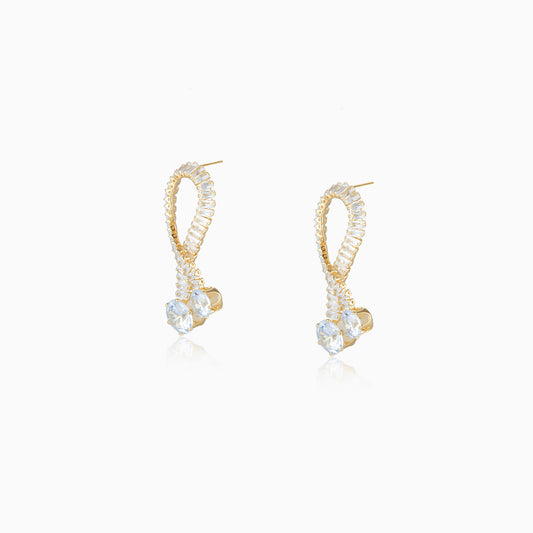 Shine Loop Drop Earrings