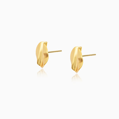 Wrinkled Texture Earrings