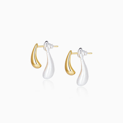 Gold & Silver Two-Tone Earrings