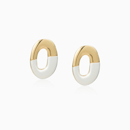 Dual-Tone Hook Earrings