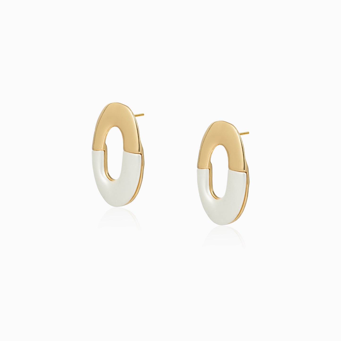 Dual-Tone Hook Earrings
