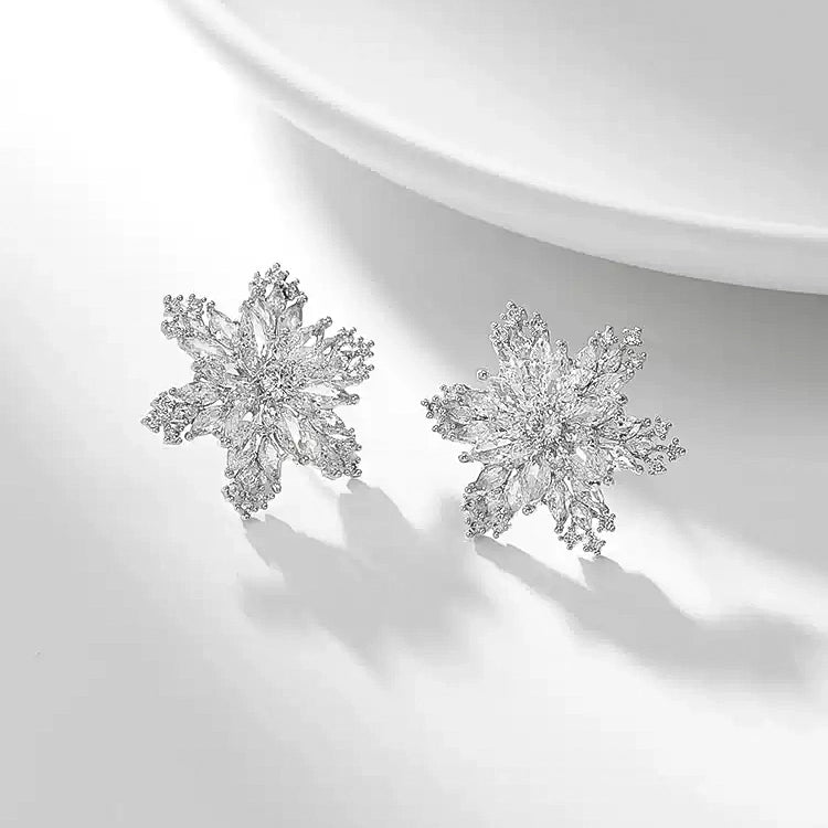 Shining Snow Earrings