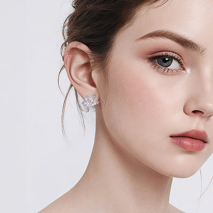 Shining Snow Earrings