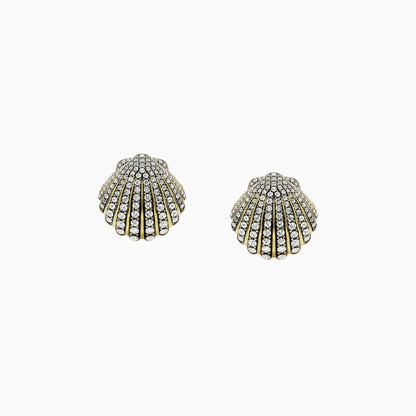 Marine Shell Earrings