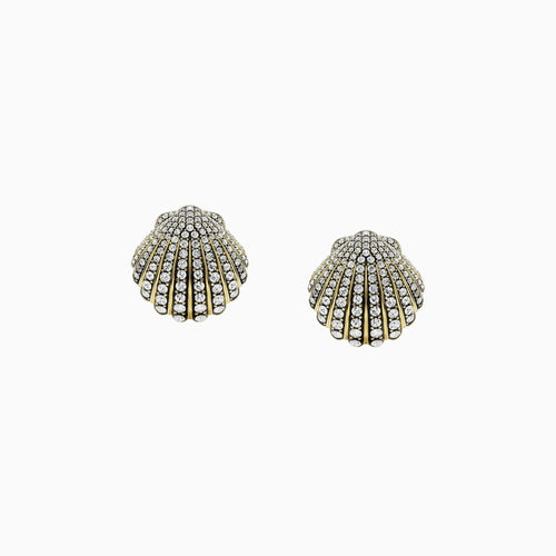 Marine Shell Earrings