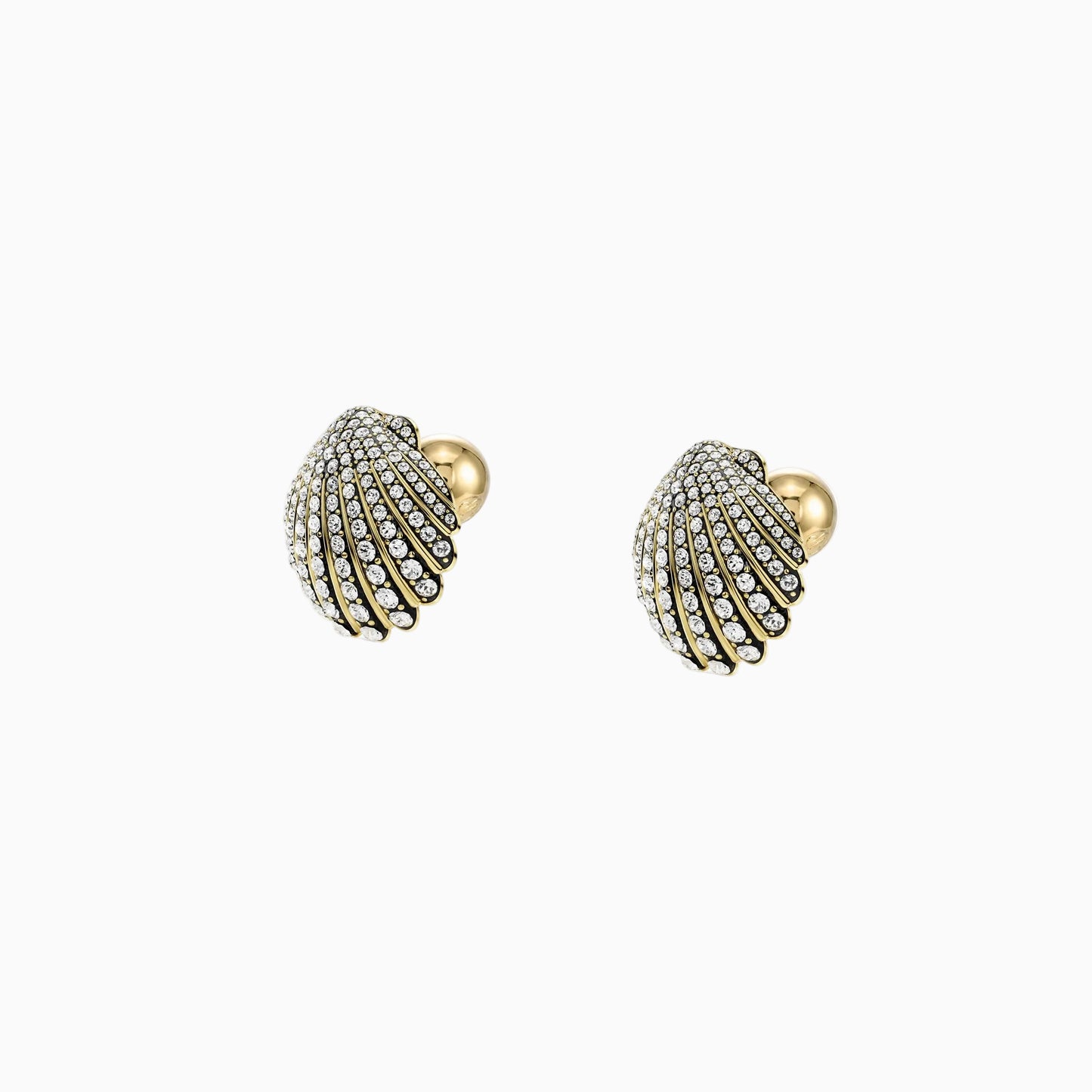 Marine Shell Earrings