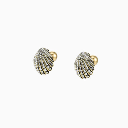 Marine Shell Earrings