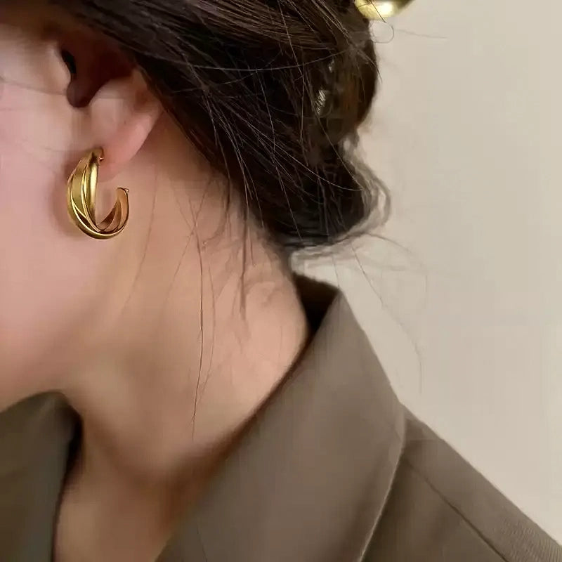 Twisted Hoop Earrings