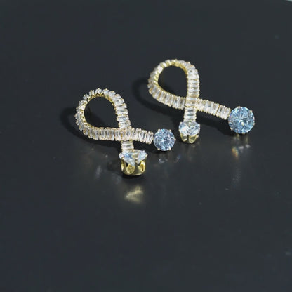 Shine Loop Drop Earrings